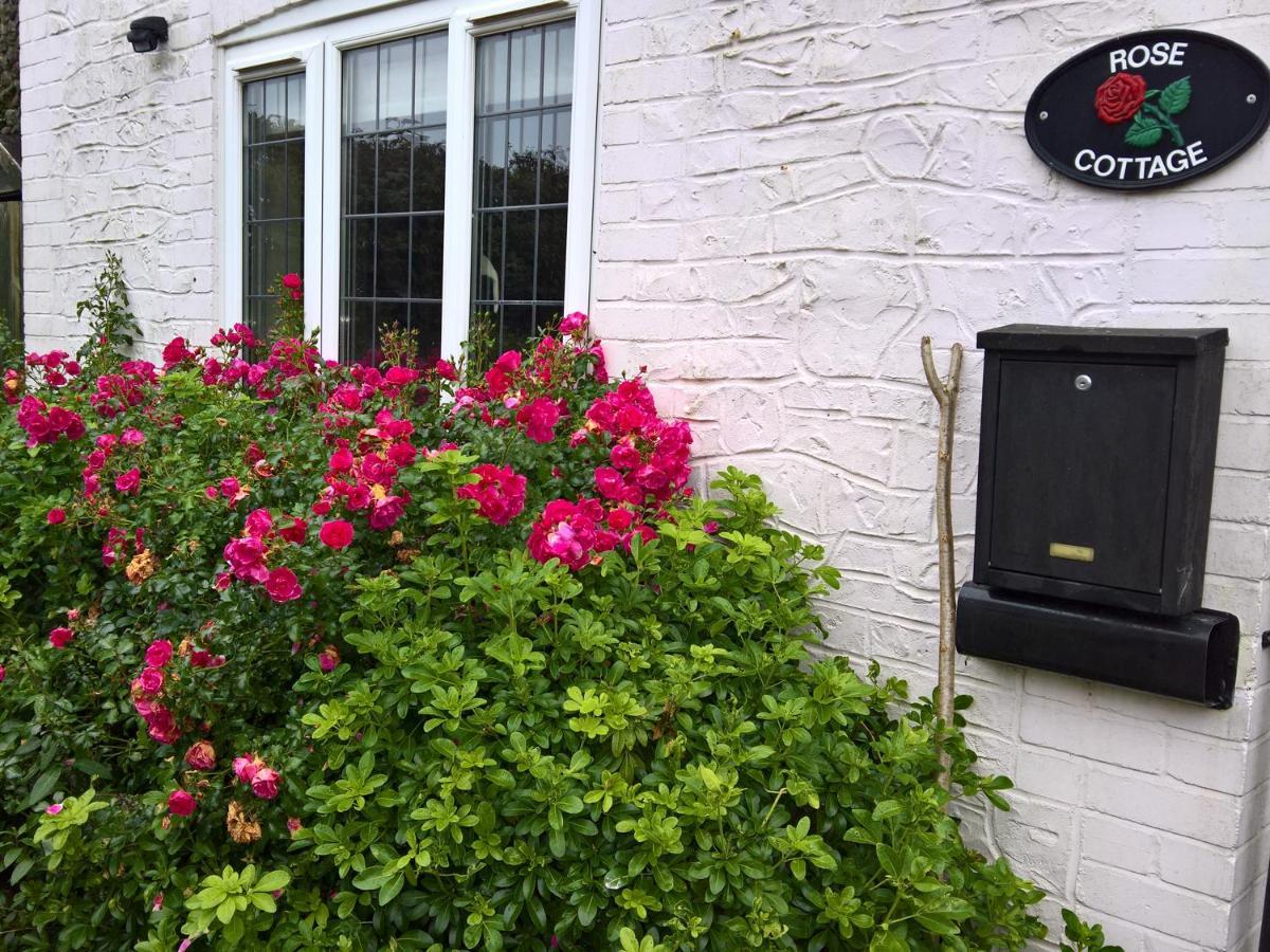 Rose Cottage Chard Exteriér fotografie